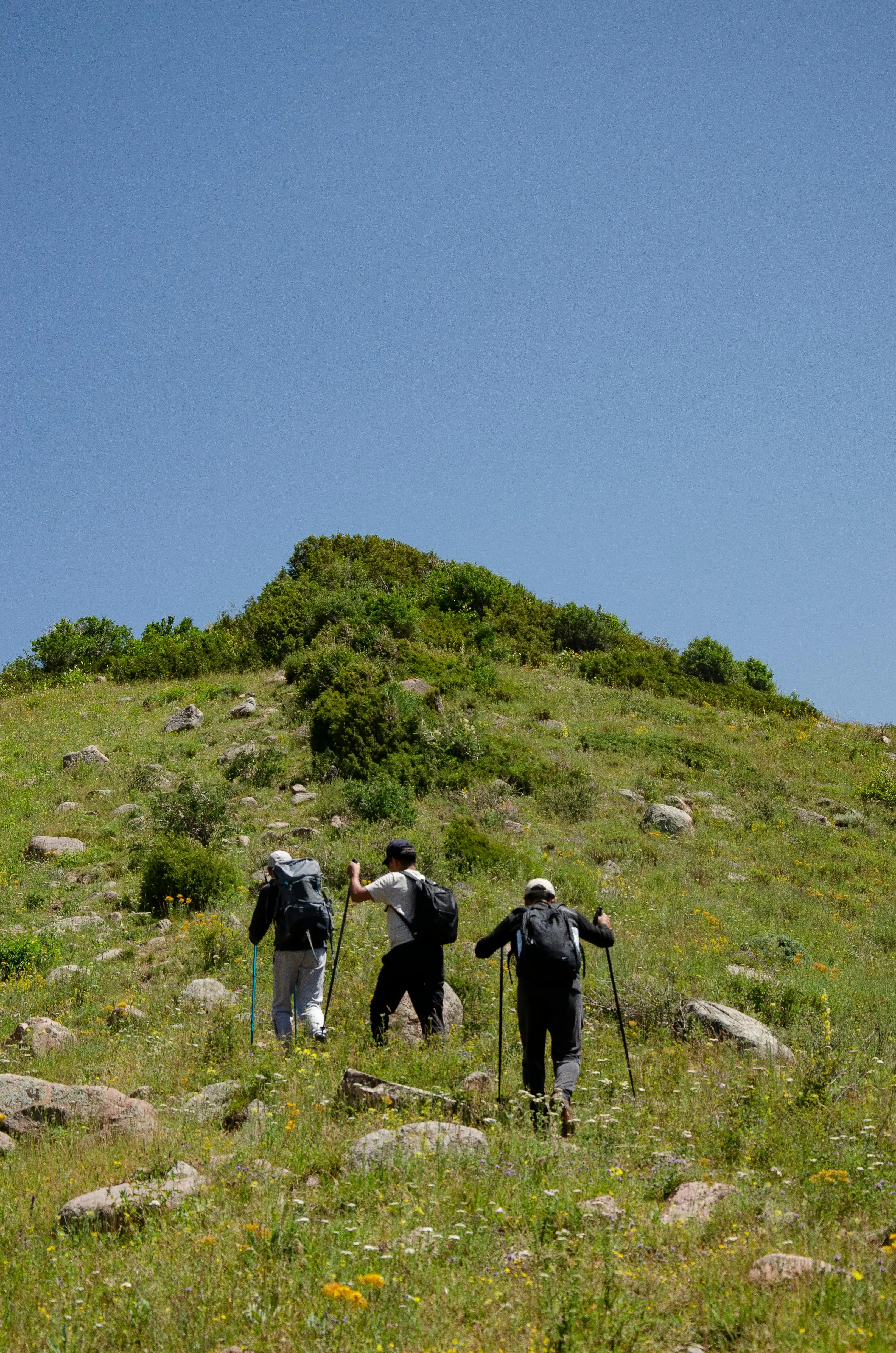 Three hikers walking up a hill by Radis B